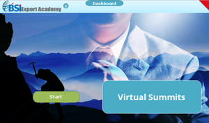 Virtual Summits - eBSI Export Academy