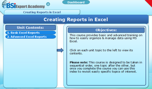 Creating Reports in Excel - eBSI Export Academy