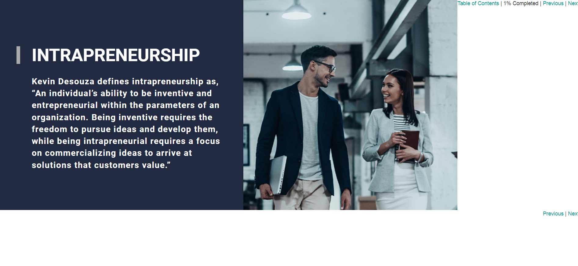 Intrapreneurship - eBSI Export Academy