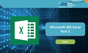 Microsoft 365 Excel Part 3 - eBSI Export Academy