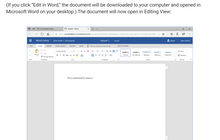 Load image into Gallery viewer, Microsoft Word Online - eBSI Export Academy