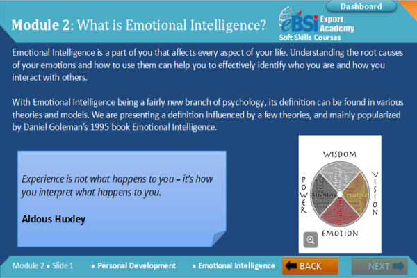 Emotional Intelligence - eBSI Export Academy