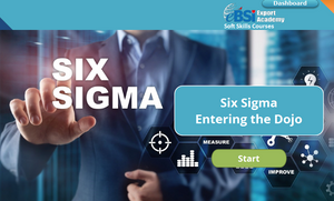 Six Sigma: Entering the Dojo - eBSI Export Academy