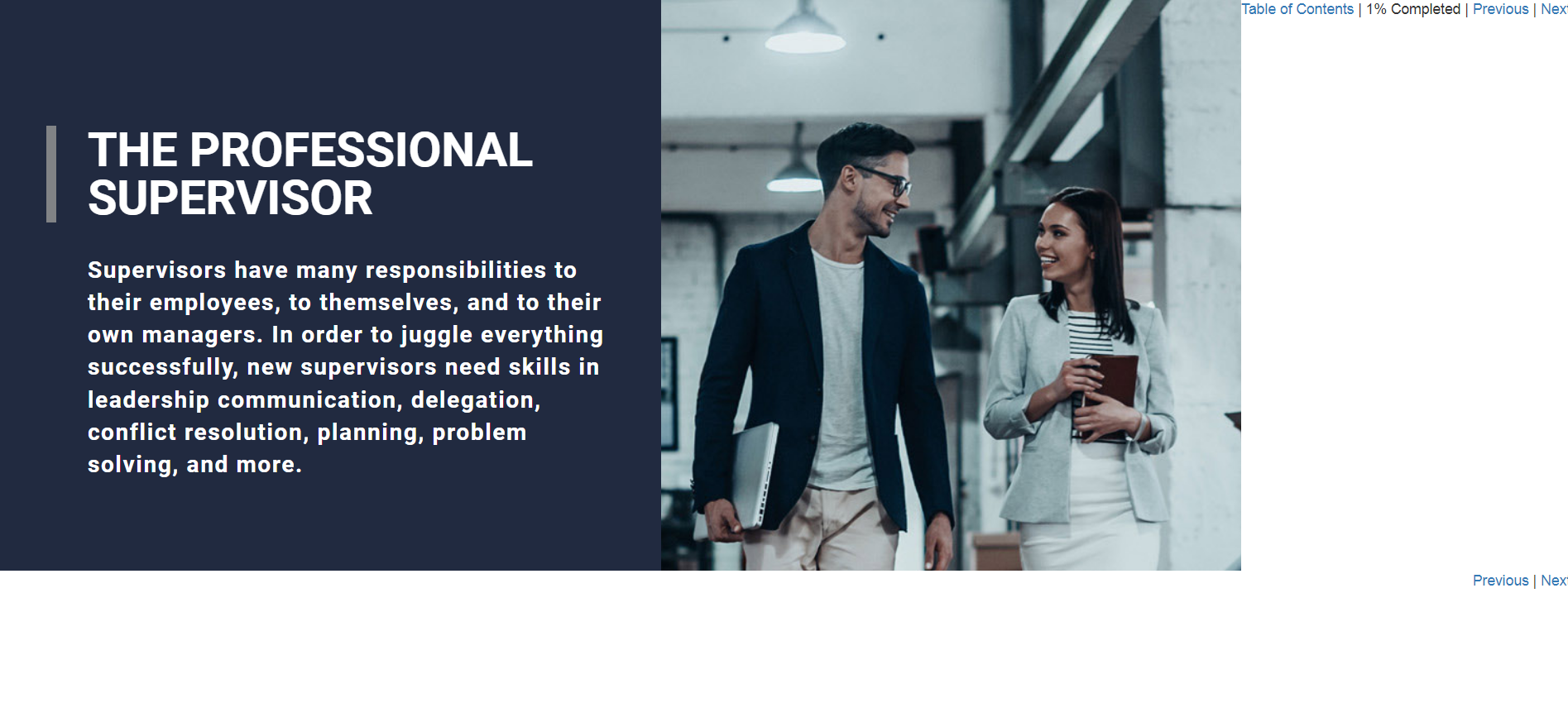 The Professional Supervisor - eBSI Export Academy