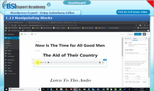 Wordpress Expert - Using the Gutenburg Editor - eBSI Export Academy