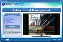 Load image into Gallery viewer, Intercultural Management - eBSI Export Academy