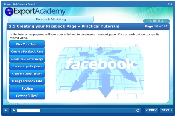 IDM - International Digital Marketing - eBSI Export Academy